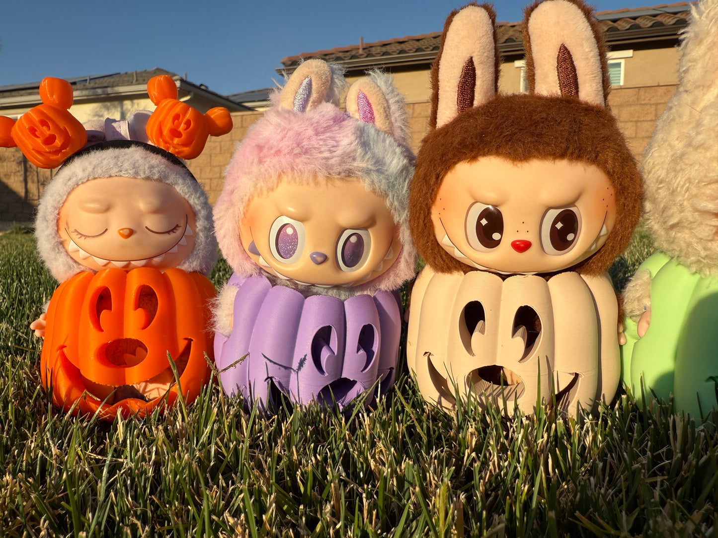 Pre-Orders: Bubu Pumpkin Set