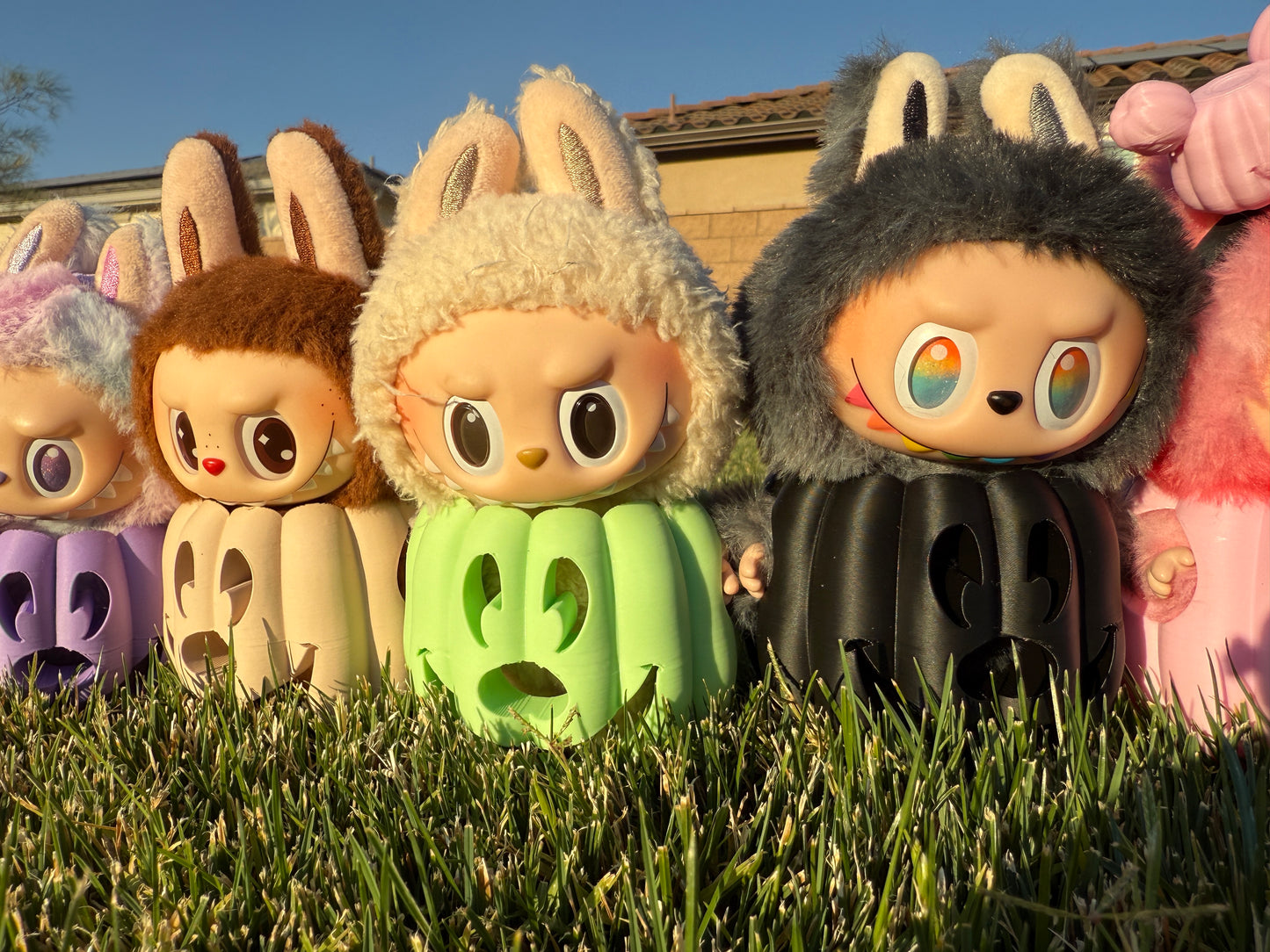 Pre-Orders: Bubu Pumpkin Set