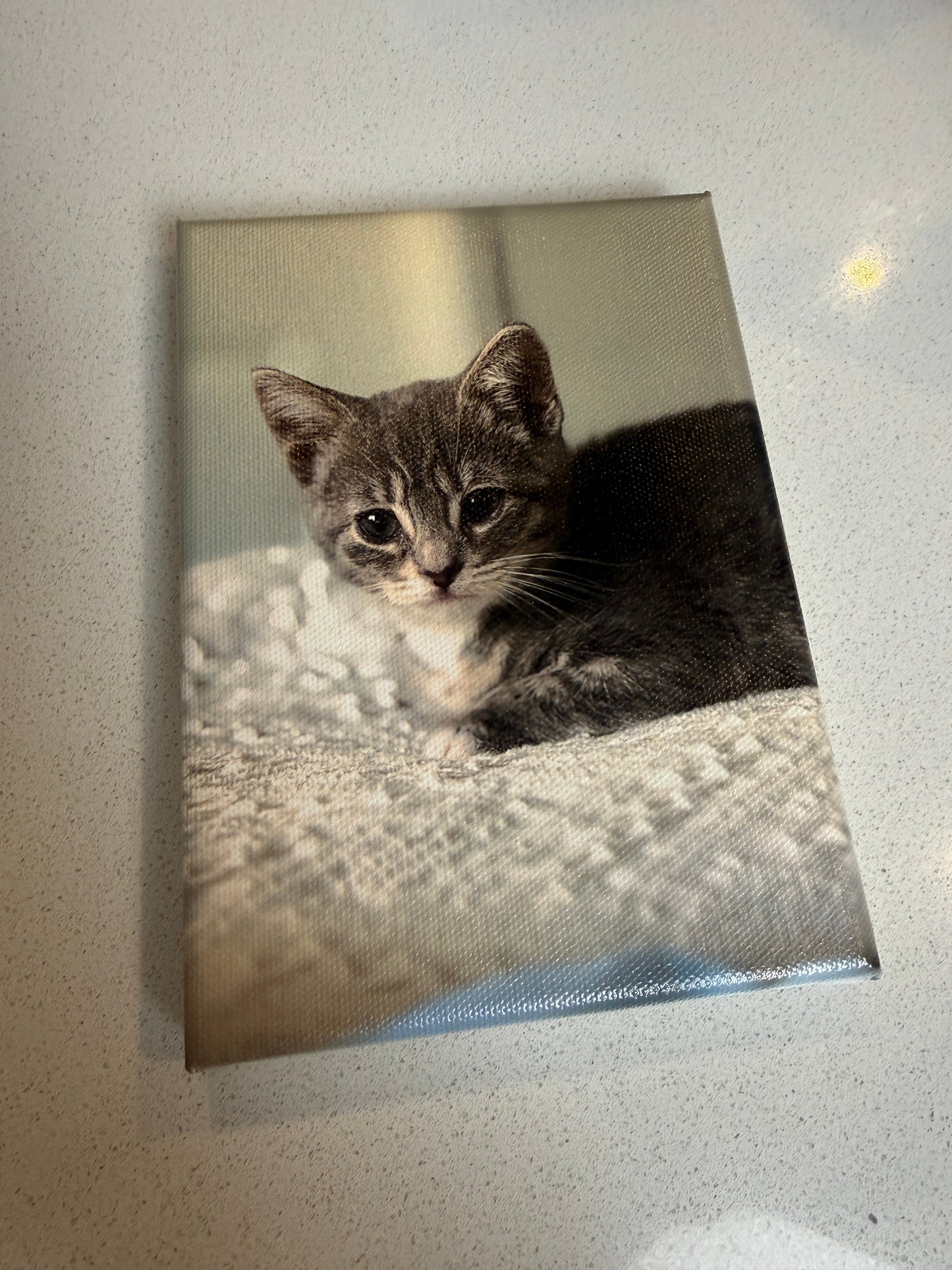 Custom 5x7 Photo Canvas Print | Personalized Pet Portrait, Family Photo, Couple Gift, Memorial Keepsake, UV Printed Canvas