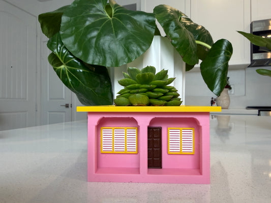 La Casita Mini Plant Holder